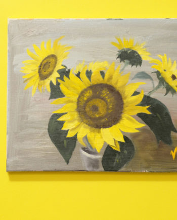 Sunflower on grey